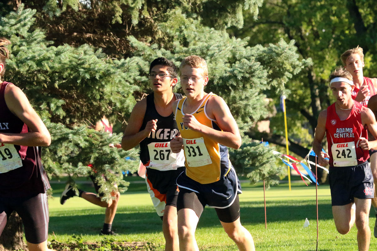 York Cross Country Invite (38).jpg